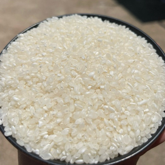 ข้าวญี่ปุ่นแท้ 15 กิโลกรัม (อะคิตะโคมาจิ) เหนียวนุ่ม ไม่แข็งกระด้าง