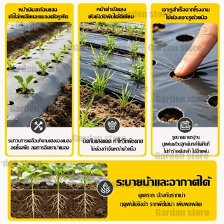 🌱พลาสติกคลุมดิน 1ม.x400หลา(360ม) ผ้ายางคลุมดิน เจาะรูเดี่ยว 1แถว ผ้ายางคลุมวัชพืช ผ้ายางคลุมแปลงผัก