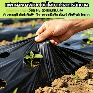 🌱พลาสติกคลุมดิน 1ม.x400หลา(360ม) ผ้ายางคลุมดิน เจาะรูเดี่ยว 1แถว ผ้ายางคลุมวัชพืช ผ้ายางคลุมแปลงผัก
