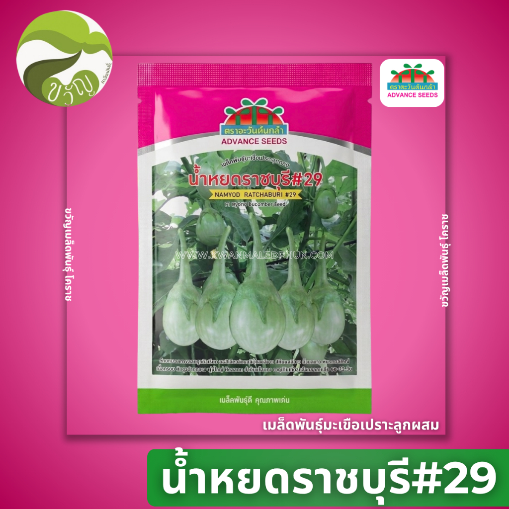 เมล็ดพันธุ์ มะเขือเปราะ ราชบุรี 29 ตราตะวันต้นกล้า