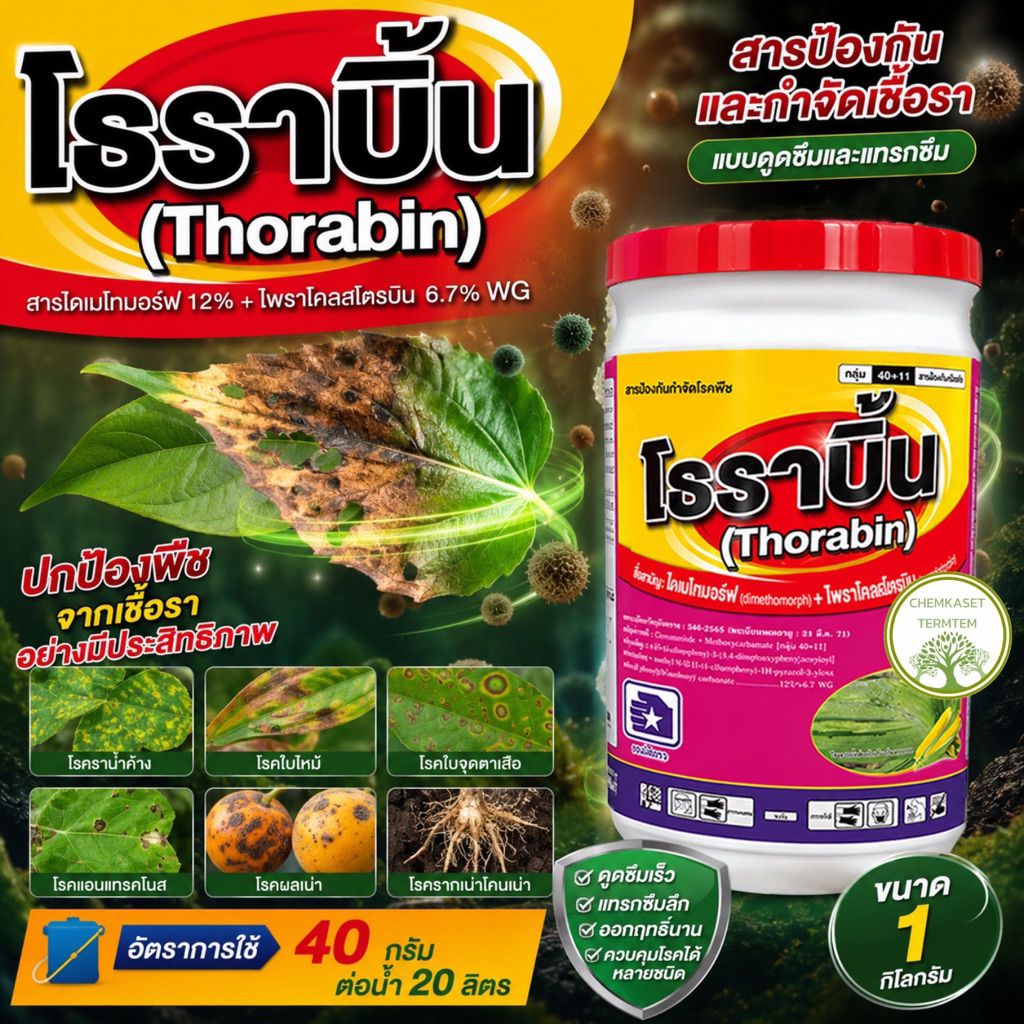 โธราบิ้น(ไดเมทโทมอฟ+ไพราโคสโตรบิน)ขนาด 1 กก 🥬สารป้องกันกำจัดโรคพืชที่เกิดจากเชื้อรา