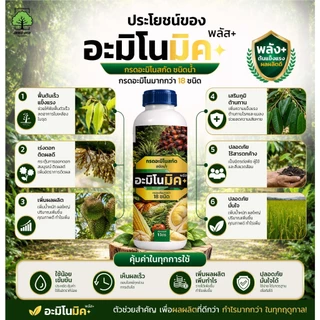 อะมิโนมิคพลัสตราเทพมงคล ขวด 1L แพ็ค 2 ขวด อาหารเสริมพืชทางใบชนิดน้ำ เร่งบำรุงพืชทุกชนิด สูตรออแกนิก