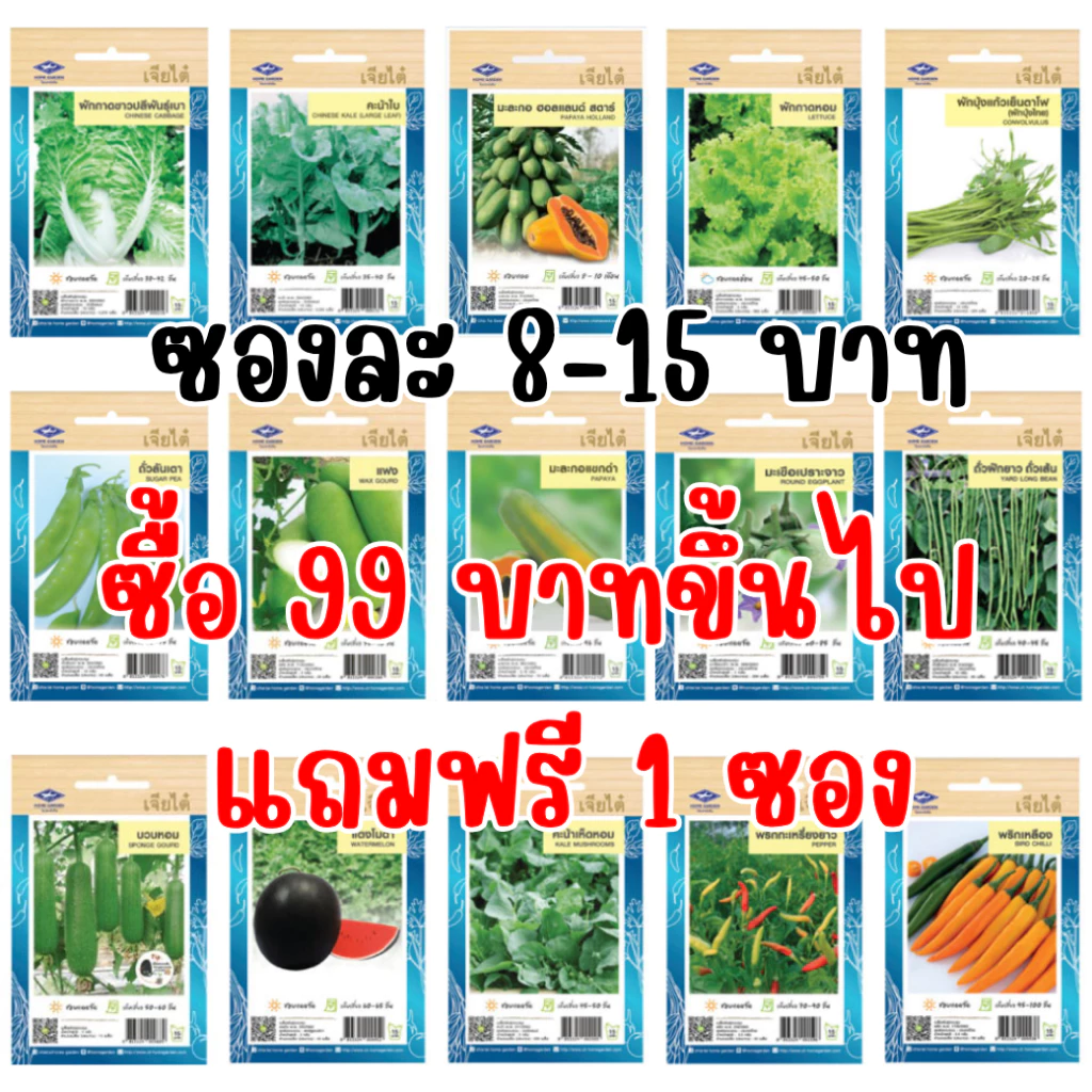 เมล็ดผักเจียไต๋ OP ของแท้ ซองละ 8-15 บาท ซื้อยอด 99 บาทขึ้นไปแถมฟรี 1 ซอง thumbnail 4