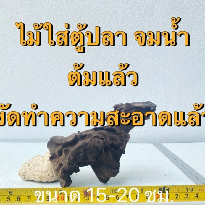 Driftwood ไม้แต่งตู้ปลา 15-20cm ไม้จมน้ำ แต่งตู้ไม้น้ำ Aquarium Wood