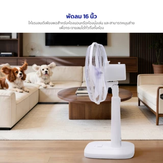 HOT Kashiwa พัดลมตั้งพื้น 16 นิ้ว ปรับระดับความสูง แรงลม 3 ระดับ รุ่น FS-2201