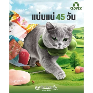 อาหารแมว Clover holistic grain-free ขนาด 1 kg สูตรเฉพาะสำหรับแมว ตัวแน่น ถนอมไต โซเดี่ยมต่ำ