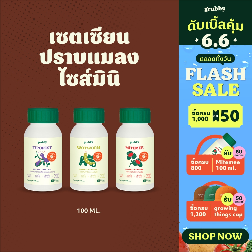 เซตสายลับจับแมลง ขนาดทดลอง เอสวี ไบโอเทค - SV BIOTECH