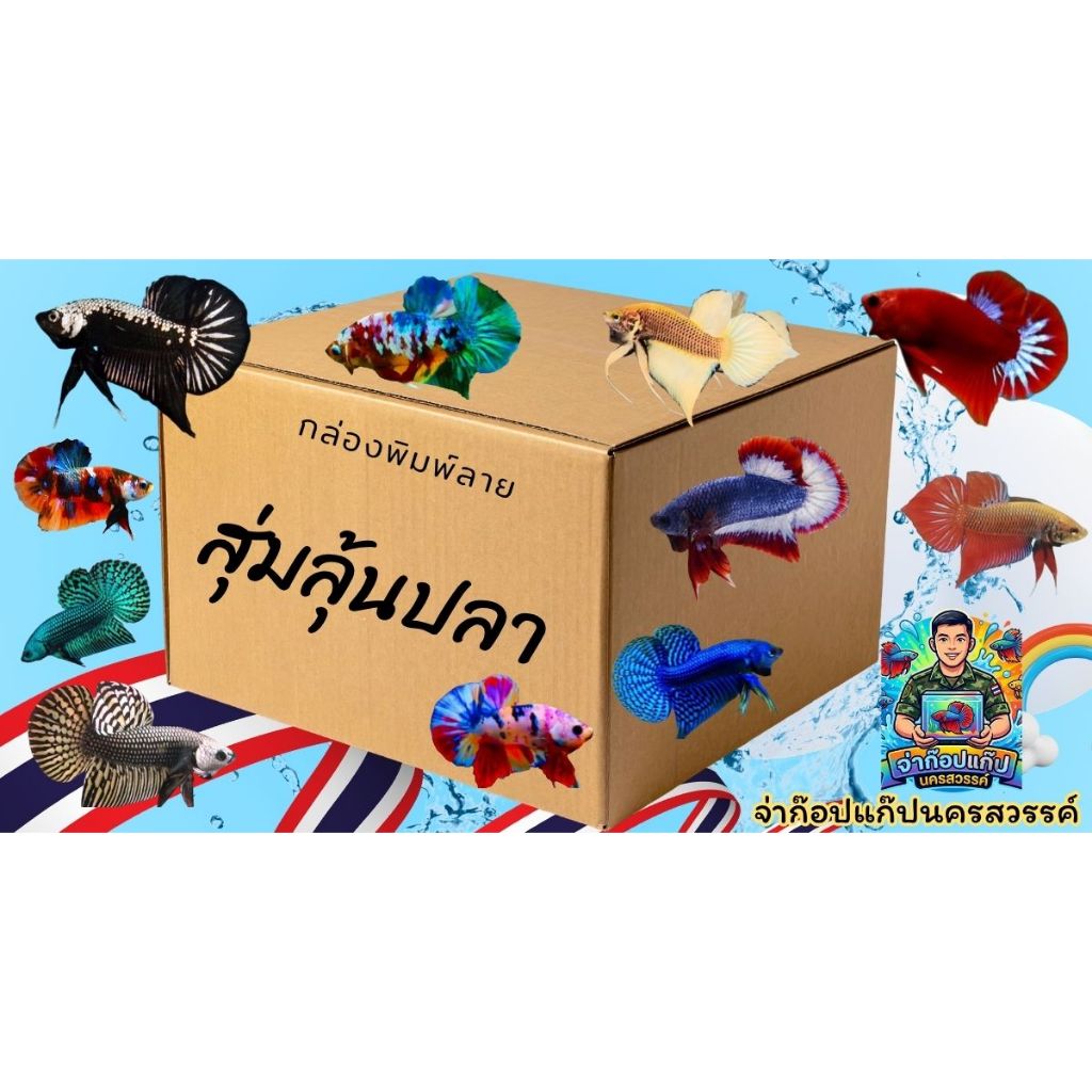 รวมสุ่มกล่องลายปลาสีตกเกรด