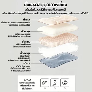 น้ํายางธรรมชาติ100%🔥หมอนสุขภาพ หมอนยางพาราเพื่อสุขภาพ ระเบียบกระดูกสันหลัง นุ่มสบาย 3D เนื้อสัมผัสพิเศษ หมอนยางพาราแท้
