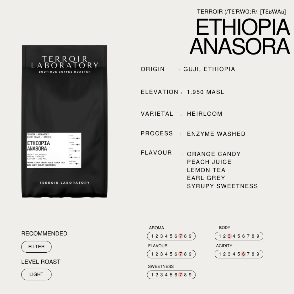 Ethiopia Anasora | Filter Roast | กาแฟ Single Origin