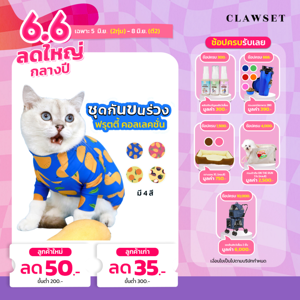[สินค้าราคาพิเศษ] ชุดกันขนร่วง ลายผลไม้ มะม่วง ส้ม สัปปะรด มังคุด Clawset Fruity Collection