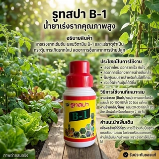 🪴 สารเร่งรากพืช รูทสปา B-1 🌱 น้ำยาเร่งรากเข้มข้น วิตามิน B1 + โบรอนบริสุทธิ์ เร่งดอก ติดผลดก แก้พืชแคระแกร็น