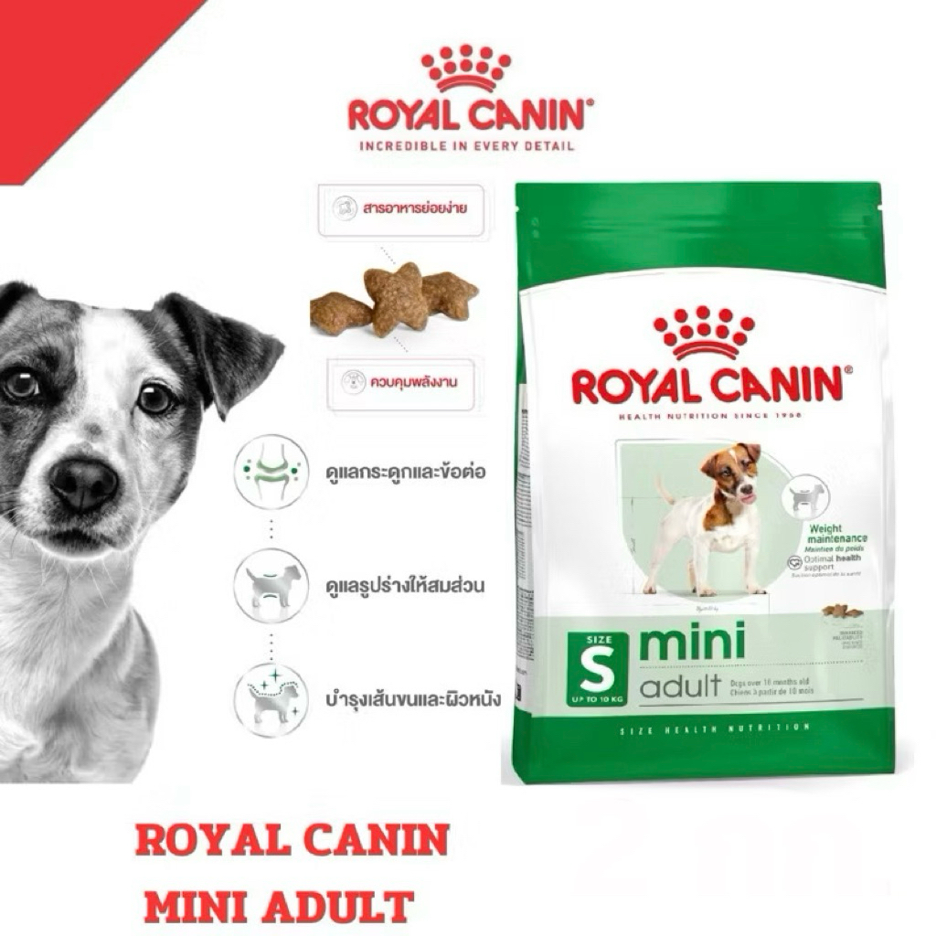 [ถูกที่สุด] ROYAL CANIN Mini Adult อาหารสุนัขโตพันธุ์เล็ก 2kg , 4kg