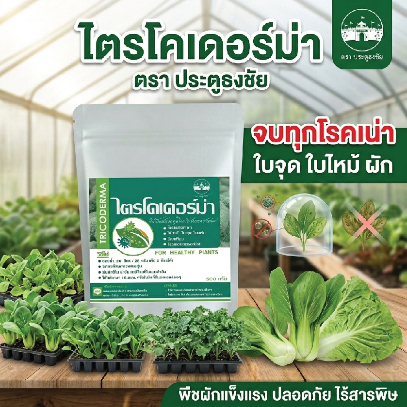 ไตรโคเดอร์มาผง ประตูธงชัย ปริมาณ500กรัมเเบบซอง