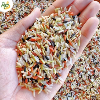 ข้าวกล้องสี่กษัตริย์ เพื่อสุขภาพ ตรามีสุข แบรนด์แท้ (ซีลสูญญากาศถุงละ 1 กก. 5ถุง) ส่งตรงจากชาวนา