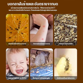 🐜 ผงกำจัดมด 60g ยากำจัดมด เหยื่อมด ผงโรยมด ฆ่ามด กำจัดมดในบ้าน กำจัดมดในครัว โรยง่าย ปลอดภัยต่อคนและสัตว์เลี้ยง