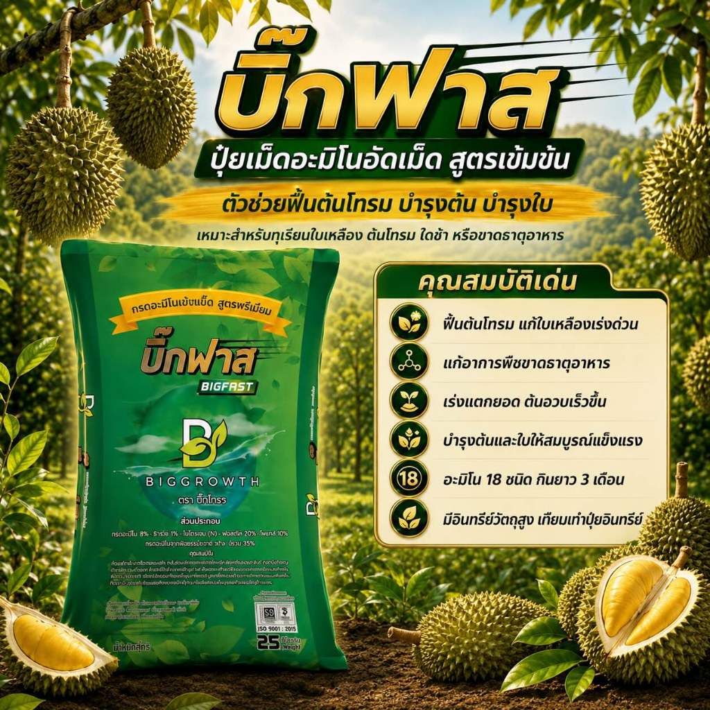 บิ๊กฟาส (BigFast) | อะมิโนพืชชนิดเม็ด | สูตรพรีเมี่ยม | เร่งฟื้นต้น-แตกยอดเร็ว