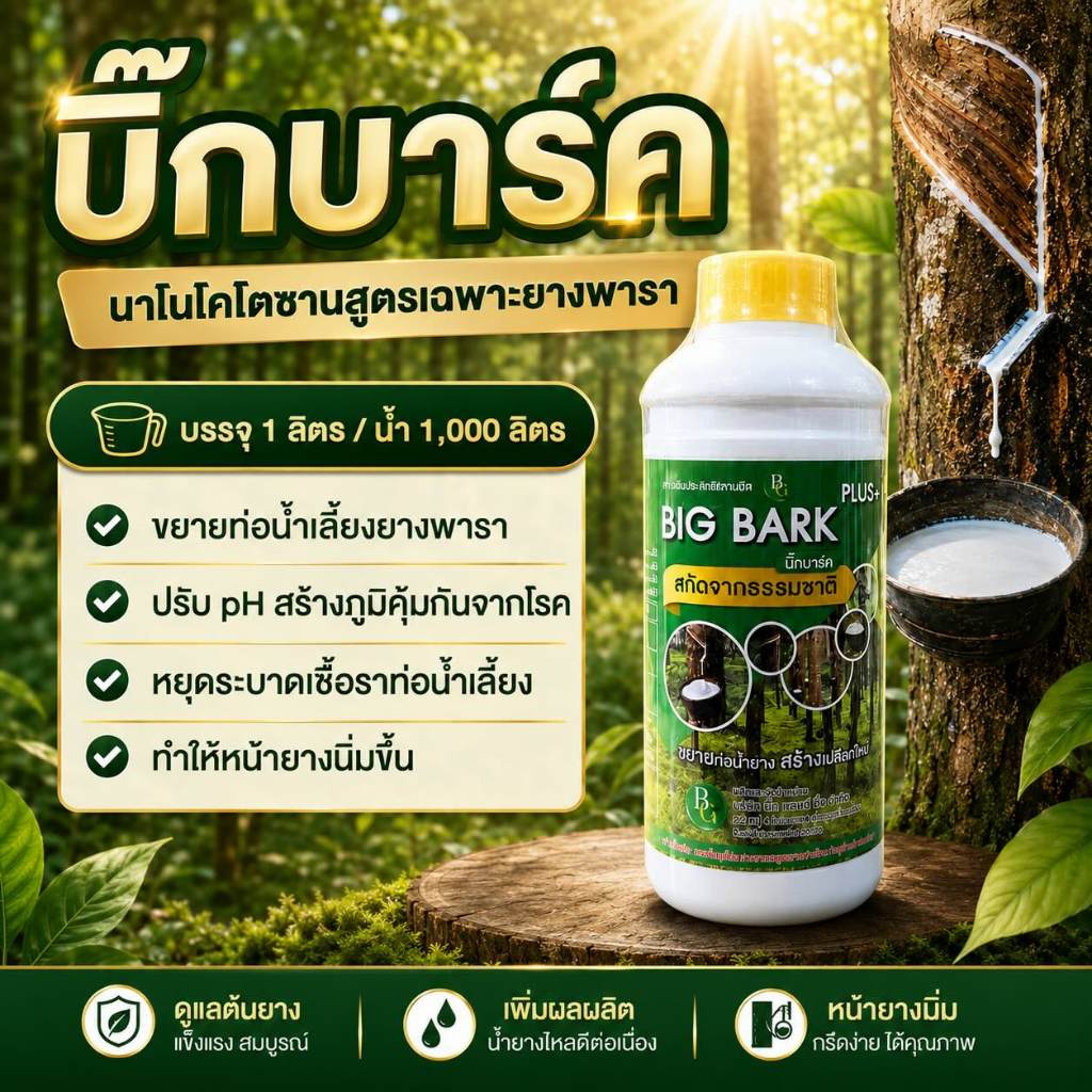 บิ๊กบาร์ค ขยายท่อน้ำยาง ปรับค่าน้ำ สร้างภูมิคุ้มกัน