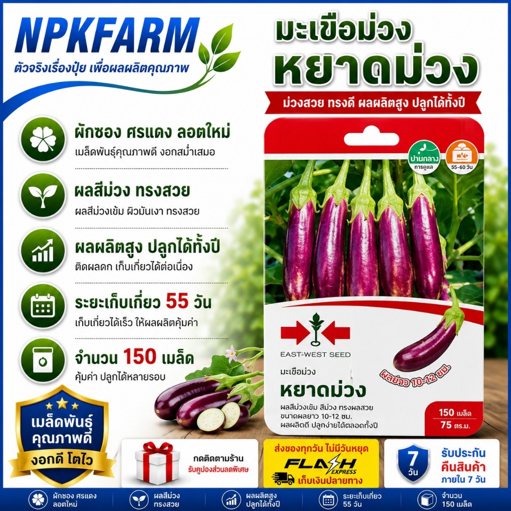 ศรแดง มะเขือม่วง หยาดม่วง หมดอายุ 12/09/2570 จำนวน 150 เมล็ด มะเขือลูกลิง สีม่วง ทรงผลสวย