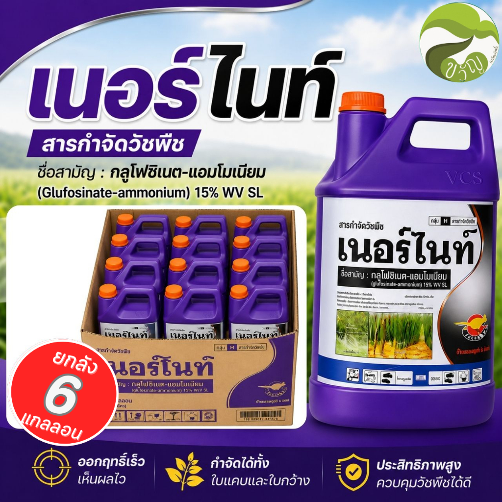 [ยกลัง 6แกลอน] เนอร์ไนท์ กลูโฟซิเนต แอมโมเนียม ตราจิงโจ้ทอง แกลลอนม่วง ขนาด 4ลิตร