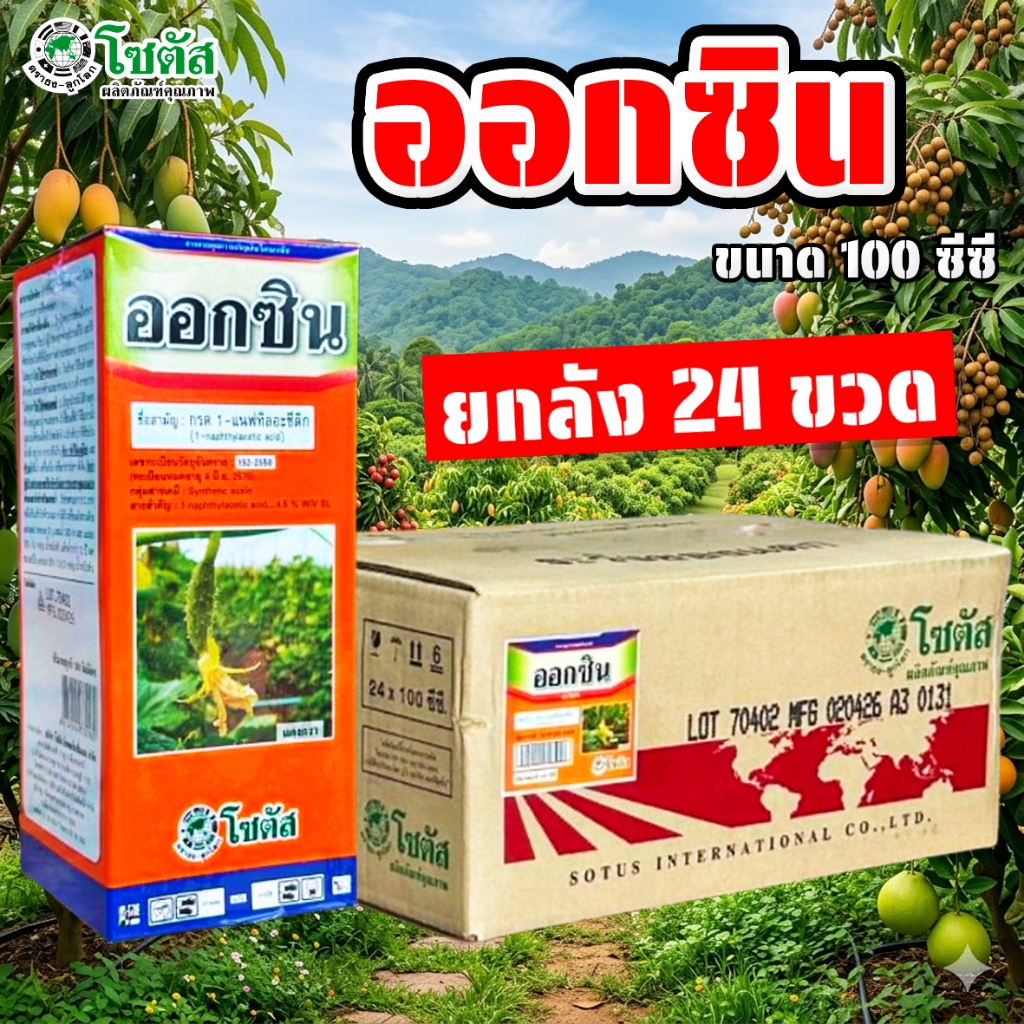 (ยกลัง24ขวด) ออกซิน ขนาด 100 ซีซี เปลี่ยนเพศดอก เร่งการเกิดรากของกิ่งชำ naa ยาขั้วเหนียว ยาเร่งราก