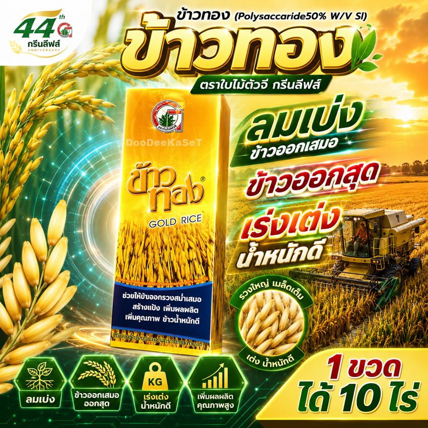 ข้าวทอง 1 ลิตร ฮอร์โมนรับท้อง-ออกรวง สำหรับข้าว น้ำตาลโมเลกุลใหญ่สกัด50%