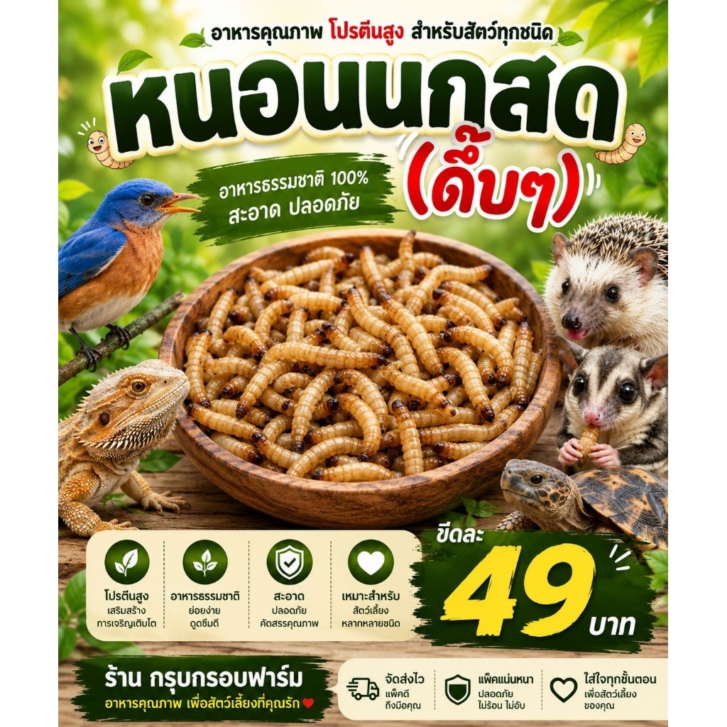 [สด-ส่งเร็ว] หนอนนกสด หนอนนกไม่อบแห้ง อาหารสัตว์เลี้ยง นก ปลา กิ้งก่า เม่นแคระ