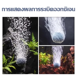 ลูกปัดออกซิเจนตู้ปลา หินอากาศ ฟองละเอียด เงียบพิเศษ กระจายลมสม่ำเสมอ เพิ่มออกซิเจน ไม่อุดตัน หลายขนาด