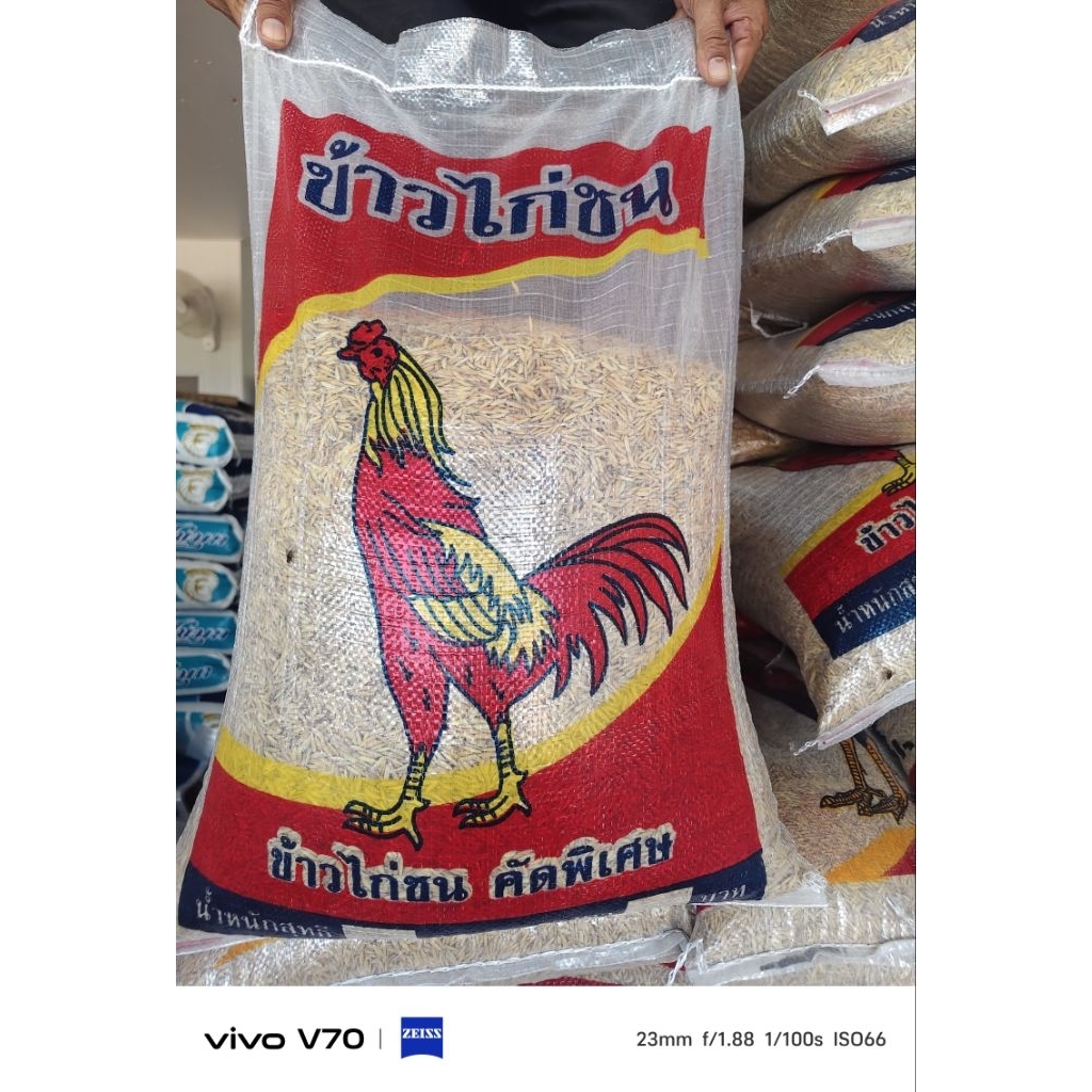 ข้าวเปลือกไก่ชน เมล็ดยาว10กก.