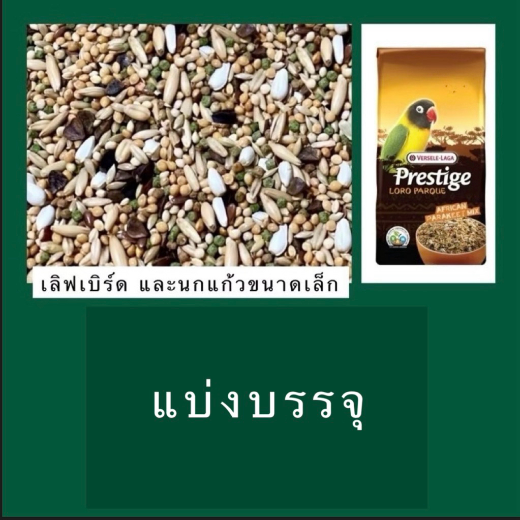 ⓅⓀⒻ อาหารนกเลิฟเบิร์ด African parakeet mix (แบ่งบรรจุ) สำหรับนกเลิฟเบิร์ด ฟอพัส คิมสัน ซันคอนัวร์ กรีนชีค