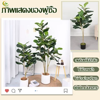 【2026 รุ่นใหม่ ความจำลอง99%】 ต้นไม้ปลอม ต้นไม้ปลอมใหญ่ 120- 2กิ่ง/160-3กิ่ง/180cm-4กิ่ง สำหรับตกแต่งบ้านและสว