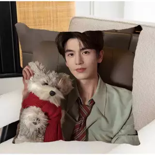 พร้อมส่ง 💗 หมอน จางหลิงเฮ่อ นุ่มฟู น่ากอด หมอน + ปลอก แถมโฟโต้การ์ดค่ะ