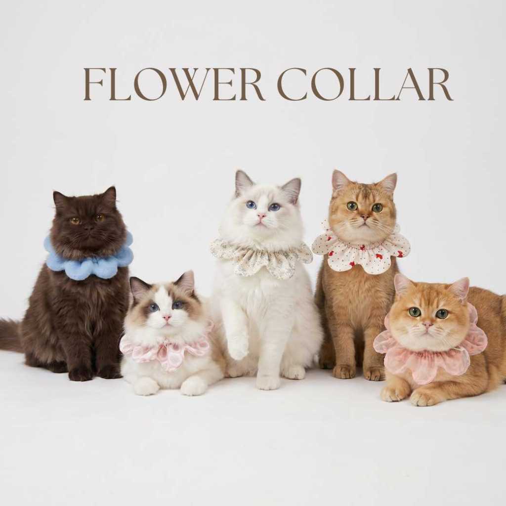 [พร้อมส่ง] SRR FLOWER COLLAR ปลอกคอสำหรับแมว เบาสบายตัว ดีไซน์และผลิตจากเกาหลี🇰🇷