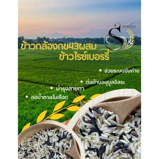 [ ส่งฟรี ] ข้าว4ทิศตราทรัพย์ธนา ขนาด4กิโลกรัม ถุงสุญญากาศ เก็บได้นาน