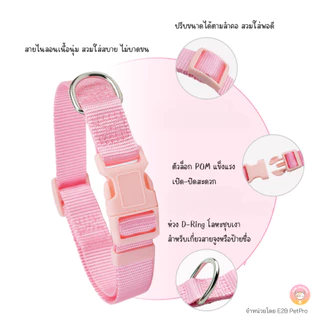 ปลอกคอคัลเลอร์ป๊อป ปลอกคอสุนัข สีโดดเด่น มองเห็นง่าย C084