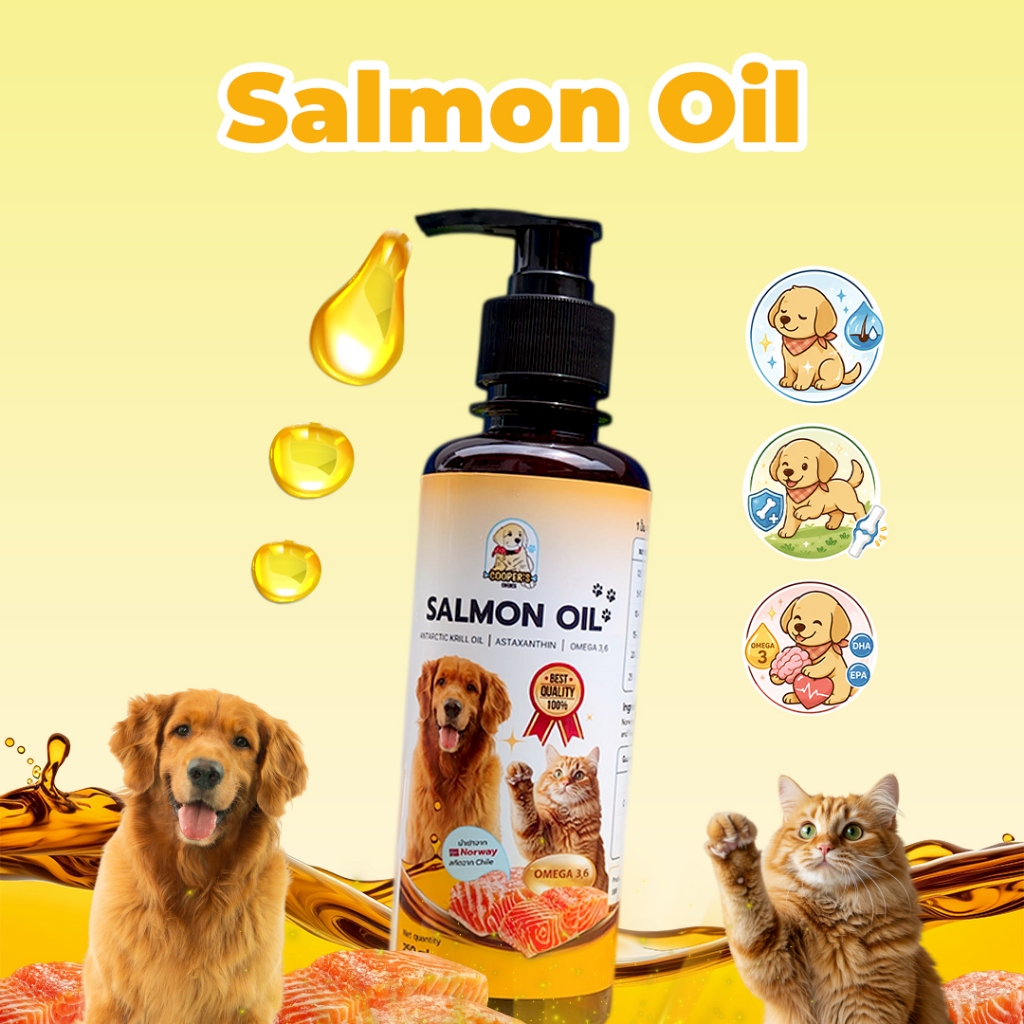 ทักร้านค้าก่อนสั่ง ✅ขายส่ง น้ำมันปลาแซลมอนแท้ สำหรับสัตว์เลี้ยง บำรุงขน สุนัข หมา แมว Salmon Oil for Pet 100% 🐶🐱