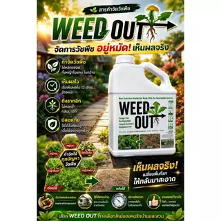 🌿 WEEDOUT นวัตกรรมเกษตรสีเขียว ขนาด 1,000ml. ส่งฟรี ของแท้ ดูแลแปลงปลูกอย่างมีประสิทธิภาพ ลดภาระการกำจัดหญ้า