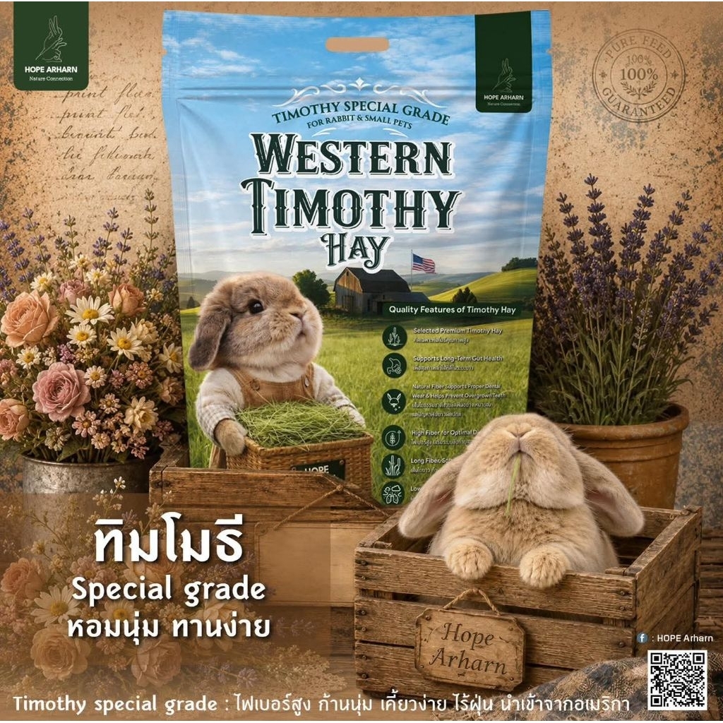 Timothy special grade จากมายล ทิมที่คนรักกระต่าย ต้องมีติดบ้าน 👉กดติดตามรับโค้ดลด👈