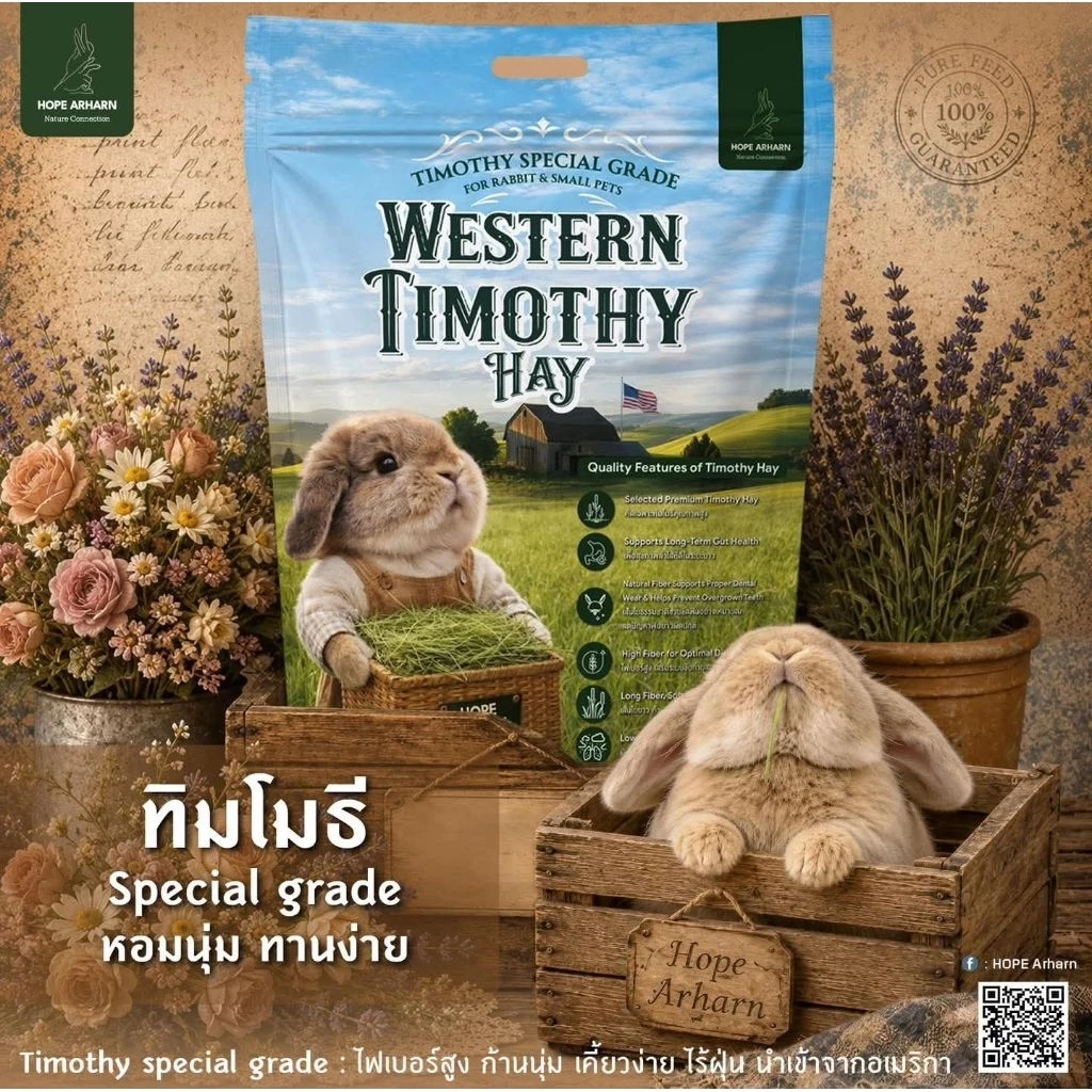 Timothy special grade จากมายล ทิมที่คนรักกระต่าย ต้องมีติดบ้าน 👉กดติดตามรับโค้ดลด👈