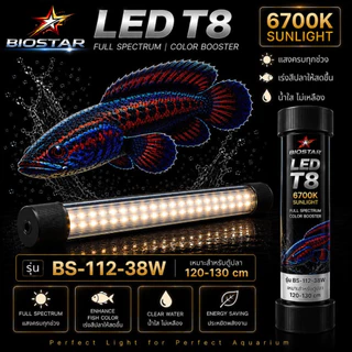 หลอดไฟใต้น้ำT8 BIOSTAR LED T8 6700K SUNLIGHT เปลี่ยนตู้ปลาธรรมดา ให้สวยโดดเด่นในทันที! ขนาด BS-26/36/52/72/92