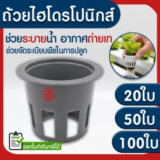 *โค้ดส่งฟรี* ถ้วยปลูกผัก 20/50/100ใบ ถ้วยขาวปลูกผัก ผไฮโดรโปนิกส์ ไฮโดร สลัด salad hydroponic hydro แบบใช้ซ้ำ MAXX