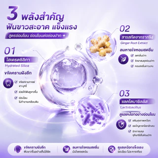 【แนะนำโดยดารา】ยาสีฟันกลิ่นมะลิ สีม่วง 100กรัม ฟอกฟันขาว ลดคราบเหลือง ขจัดคราบชา กาแฟ คราบบุหรี่ ดูแลเหงือก ลมหายใจหอมสดช