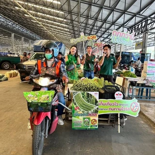 ถั่วฝักยาว เขียวดกพลัส เมล็ดพันธุ์ ตราศรแดง บรรจุ 500กรัม