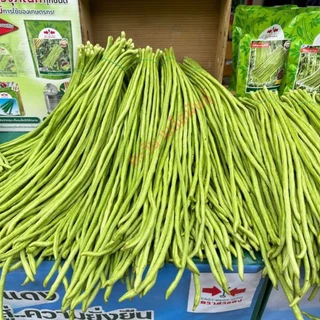 ถั่วฝักยาว เขียวดกพลัส เมล็ดพันธุ์ ตราศรแดง บรรจุ 500กรัม