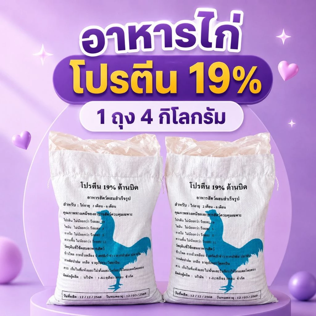 อาหารไก่โปรตีน19 สูตร2ไก่(2เดือนขึ้นไป) อาหารไก่ 1 ถุงบรรจุ 4 กิโลกรัม