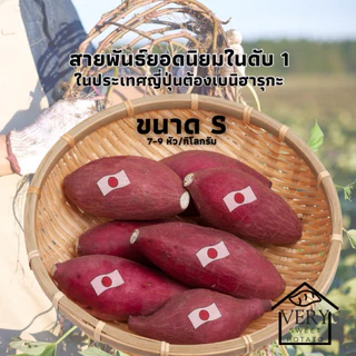 มันหวานญี่ปุ่น เบนิฮารุกะ S นำเข้าจากประเทศญี่ปุ่นแท้