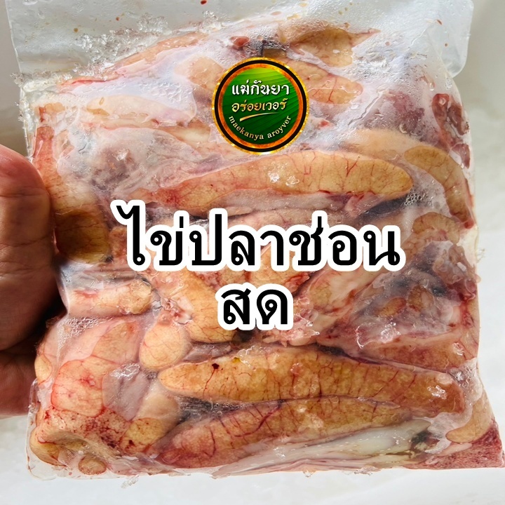 ไข่ปลาช่อนสดล้วนๆไม่ติดมันสินค้า1ปีมีครั้งเดียวเฉพาะช่วงนี้ สั่งก่อนได้ก่อน