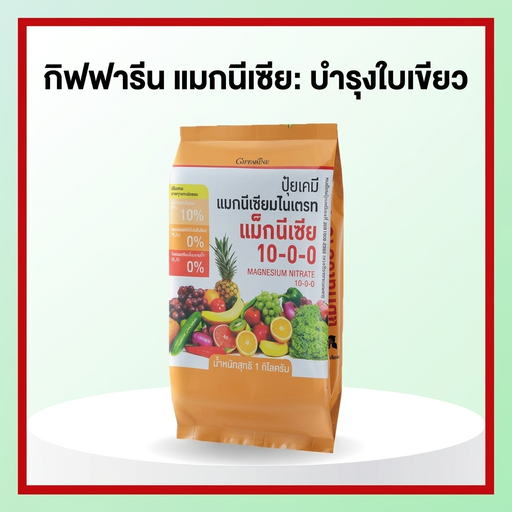 กิฟฟารีน แม็กนีเซีย ปุ๋ยพ่นทางใบ เร่งใบเขียวเข้ม สังเคราะห์แสง ป้องกันใบแก้ว ขนาด 1 กก.