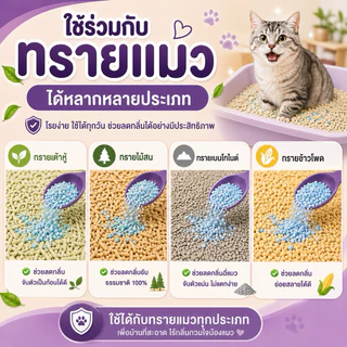 BioFix CAT Litter จุลินทรีย์สำหรับทรายแมว ดับกลิ่นทรายแมว 100g. 200g.