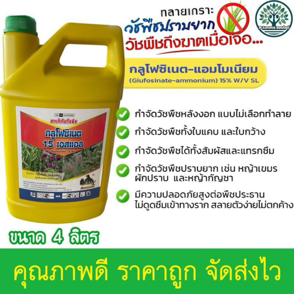 (4เเกลลอน)กลูโฟซิเนต 15 เอสแอล (กลูโฟซิเนต-แอมโมเนียม)เสือแพนเธอร์ขนาด 4 ลิตร กำจัดวัชพืชใบแคบ ใบกว้าง